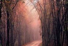 bb体育官网：[NBA]“詹东组合”再爆发 湖人险胜尼克斯.