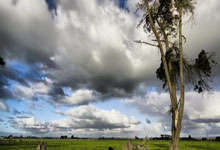 [F1]汉密尔顿夺得中国大奖赛冲刺赛排位赛杆位.